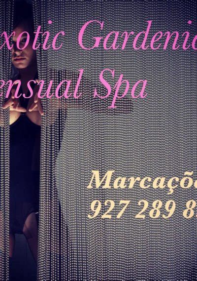 massage tantrique porto|Tantric & Erotic massage 